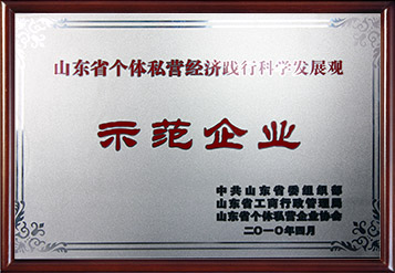 2010年山東省個體私營經(jīng)濟踐行科學發(fā)展觀示范企業(yè)